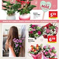 Antevisão Folheto LIDL Promoções de 27 abril a 3 maio p28.jpg